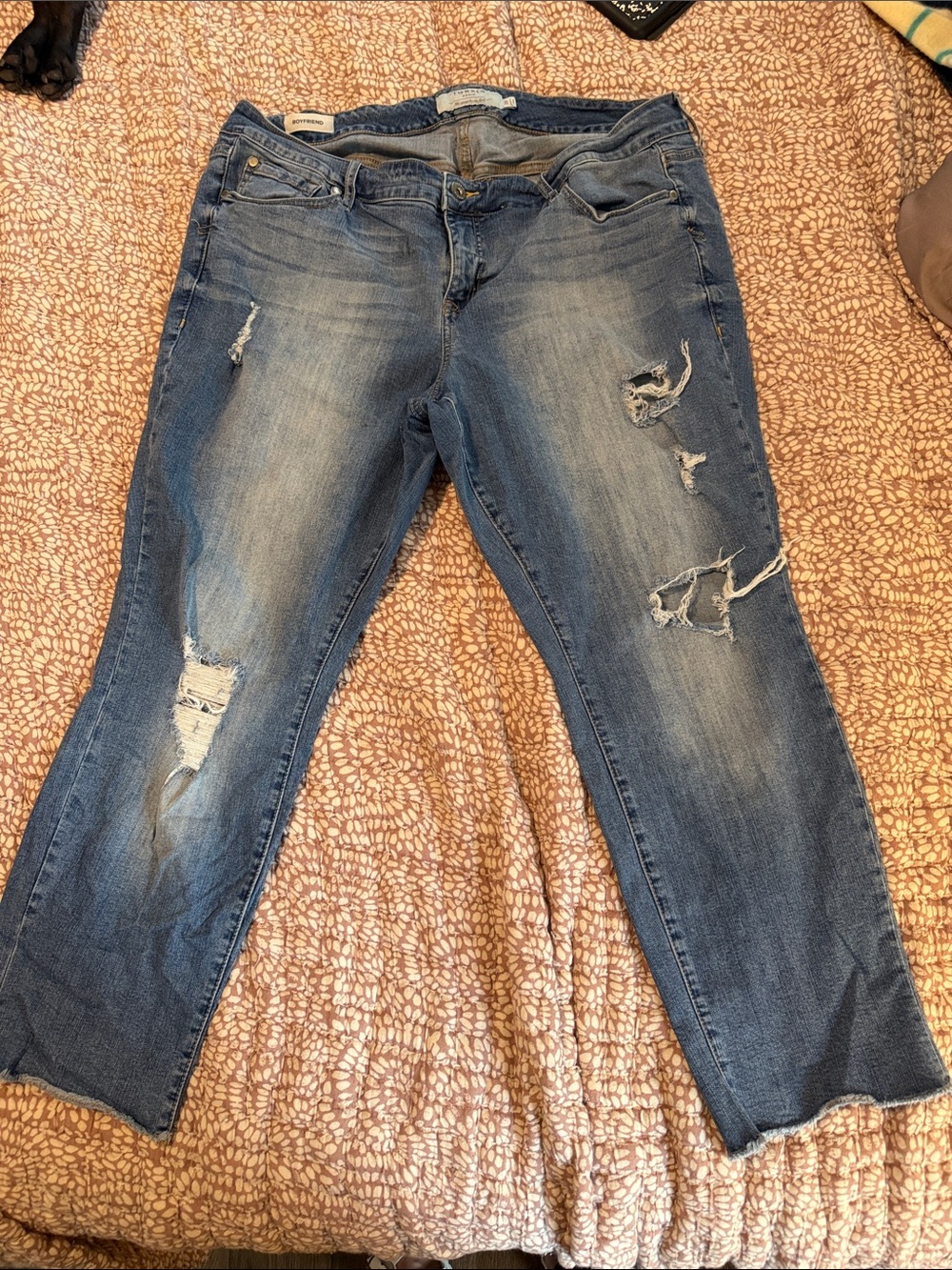 torrid Distressed Medium Blue Straight Leg Boyfriend Jeans
